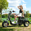 Tricycle électrique puissant 6000W double moteur vitesse maximale 55-60 KM/H charge maximale 250KG pour adultes personnes âgées handicapées Scooter extérieur