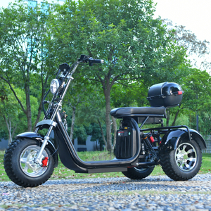 Hors route 3 roues gros pneu scooter tricycle 2000 W moteur 45 KM/H CA USA STOCK