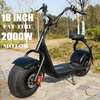 Scooter X1 Fat Tire avec feux avant et arrière et batterie amovible