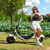 Scooter électrique à gros pneus, 1500w, 48v, 20ah, avec grand siège, sans Logo, stock américain