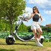 Scooter électrique à gros pneus, 1500w, 48v, 20ah, avec grand siège, sans Logo, stock américain