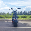 Scooter X1 Fat Tire avec feux avant et arrière et batterie amovible