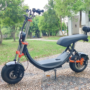 Scooter électrique à gros pneus, 1500w, 48v, 20ah, avec grand siège, sans Logo, stock américain