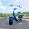 Scooter X1 Fat Tire avec feux avant et arrière et batterie amovible