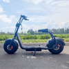 Scooter X1 Fat Tire avec feux avant et arrière et batterie amovible