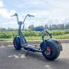 Scooter X1 Fat Tire avec feux avant et arrière et batterie amovible